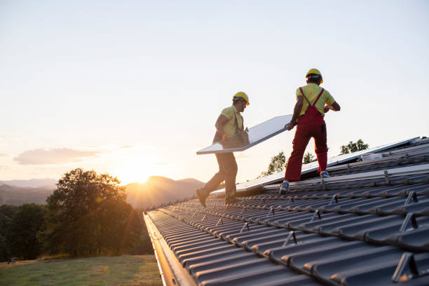 Best Asphalt Shingle Roofing  in Mount Vernon, TX