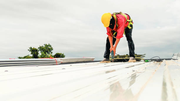 Best Commercial Roofing Services  in Mount Vernon, TX
